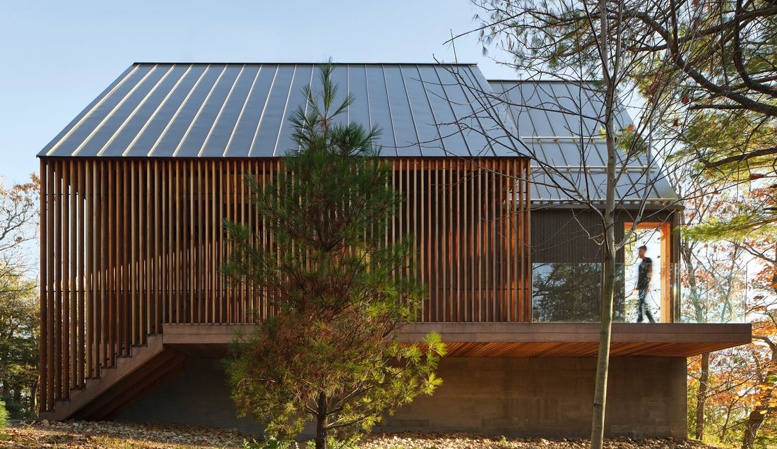 Exterior view of Bunkie on a Hill showcasing vertical wood slats and a standing-seam metal roof with trees around it