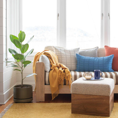 Honey Mesa wool rug anchors a bright living room with a sofa, plants, and wooden coffee table